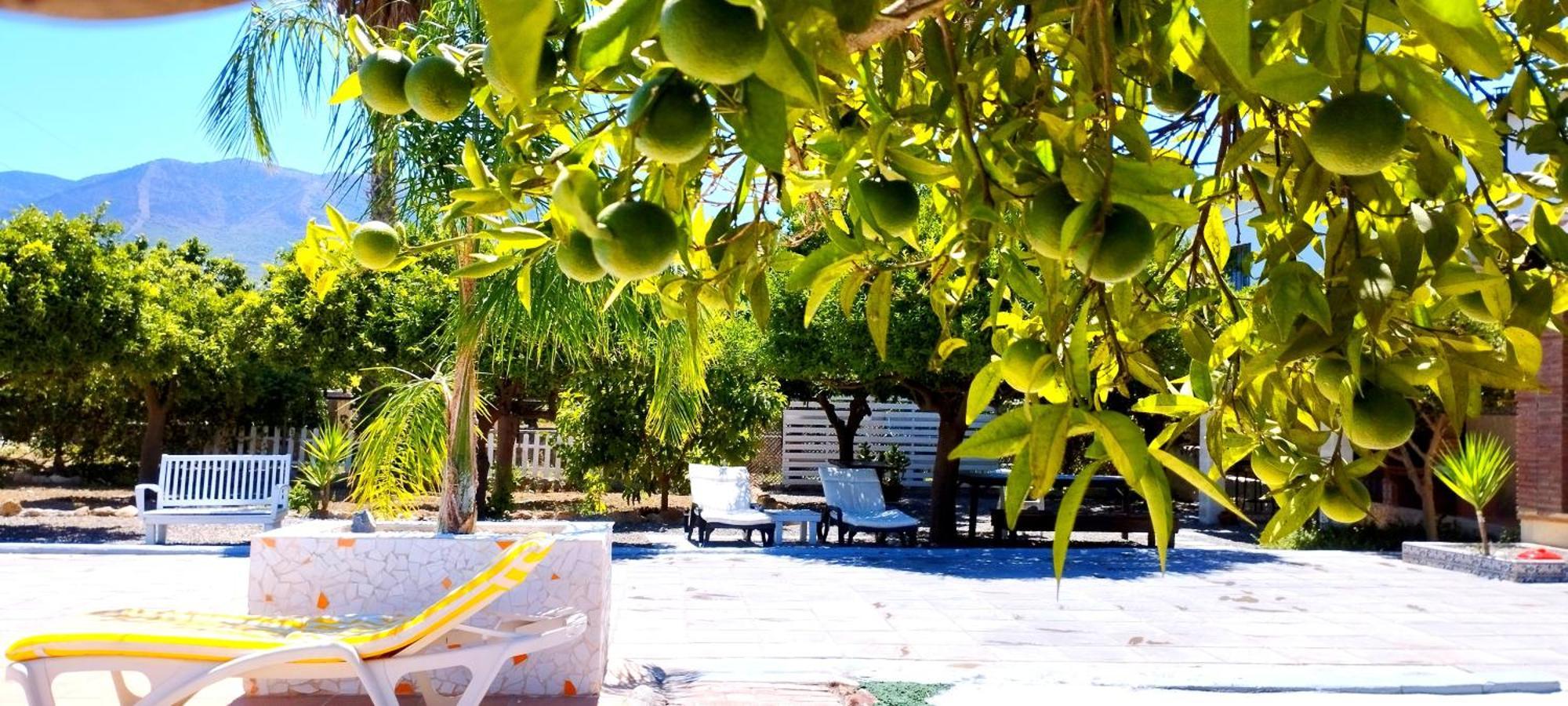 Finca El Aulagar Malaga Bagian luar foto